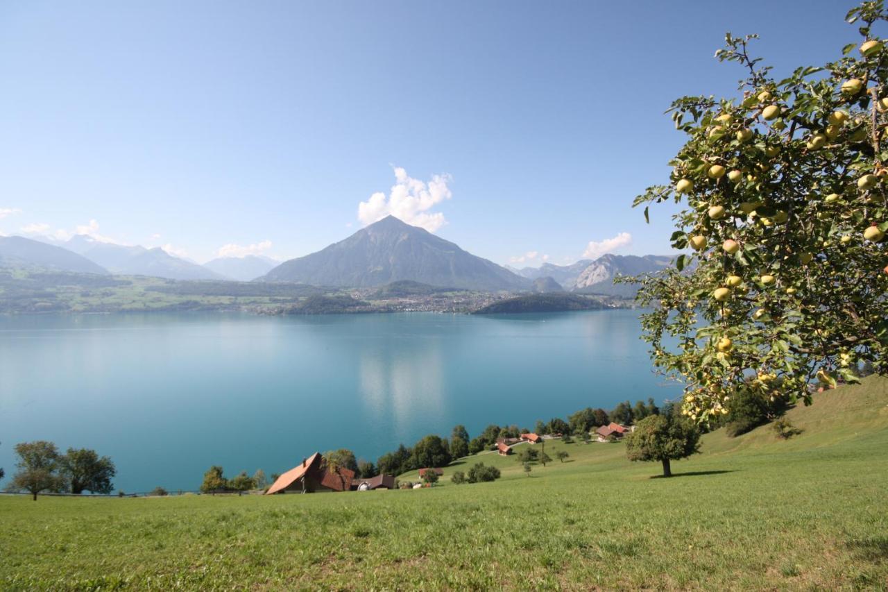 זיגריזוויל Chalet Egglen "Typical Swiss House, Best Views, Private Jacuzzi" מראה חיצוני תמונה