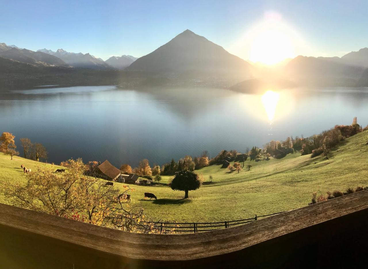 זיגריזוויל Chalet Egglen "Typical Swiss House, Best Views, Private Jacuzzi" מראה חיצוני תמונה