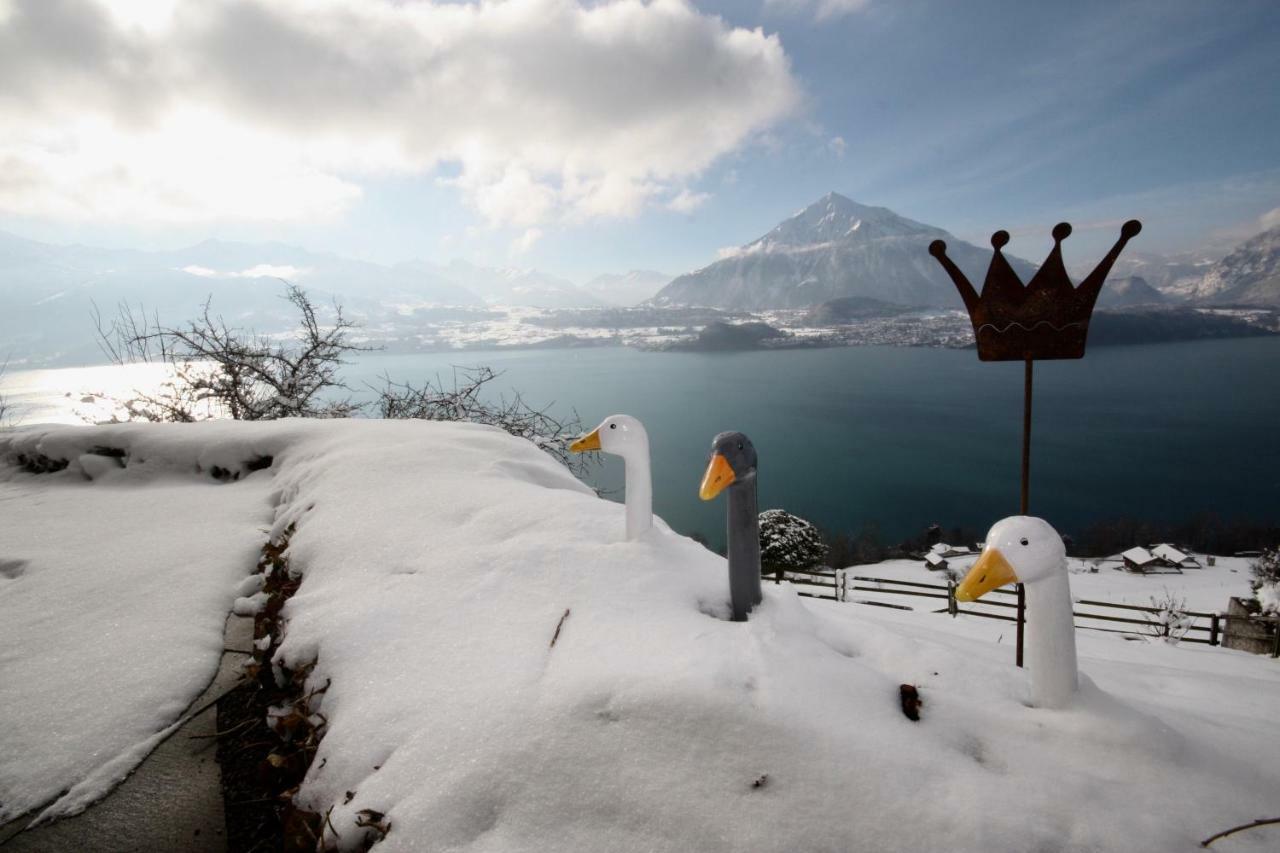 זיגריזוויל Chalet Egglen "Typical Swiss House, Best Views, Private Jacuzzi" מראה חיצוני תמונה
